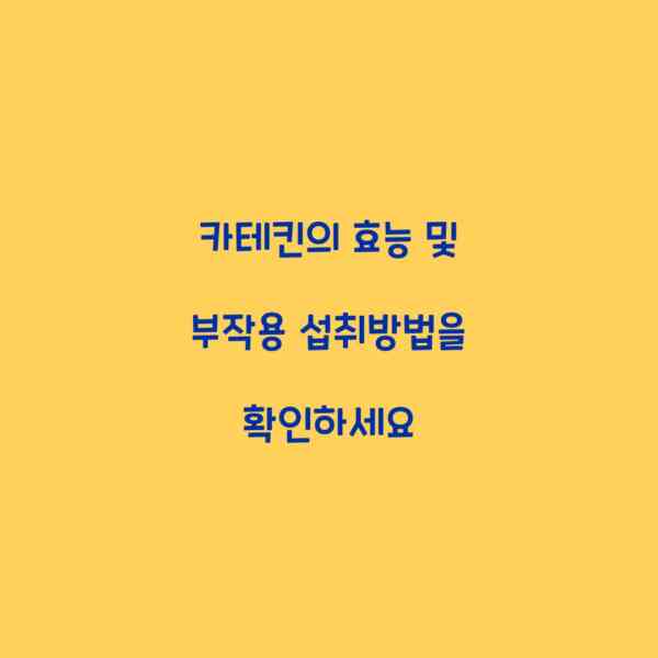 카테킨의 효능 및 부작용 섭취방법을 확인하세요