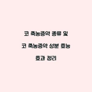 코 축농증약 종류 및 코 축농증약 성분 효능 효과 정리