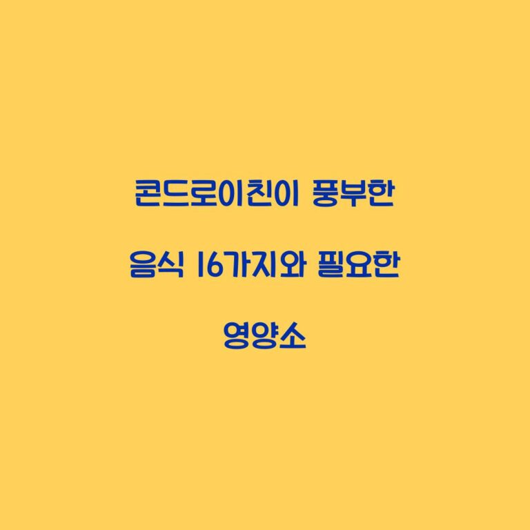 콘드로이친이 풍부한 음식 16가지와 필요한 영양소