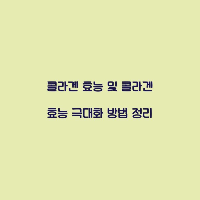 콜라겐 효능 및 콜라겐 효능 극대화 방법 정리