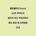 클로렐라(Chlorella)란 무엇인지 발견과 역사 주요성분의 효능 효과 및 섭취방법 안내