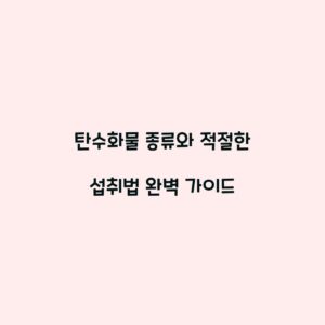 탄수화물 종류와 적절한 섭취법 완벽 가이드