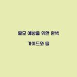 탈모 예방을 위한 완벽 가이드와 팁