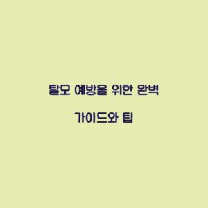 탈모 예방을 위한 완벽 가이드와 팁