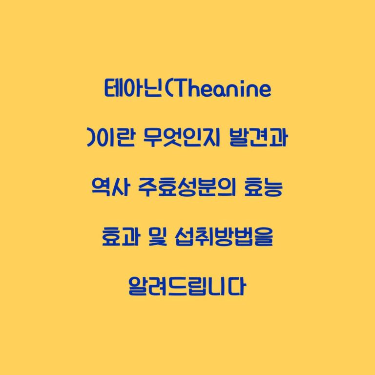 테아닌(Theanine)이란 무엇인지 발견과 역사 주효성분의 효능 효과 및 섭취방법을 알려드립니다