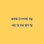 토마토 다이어트 3일 식단 및 요요 방지 팁