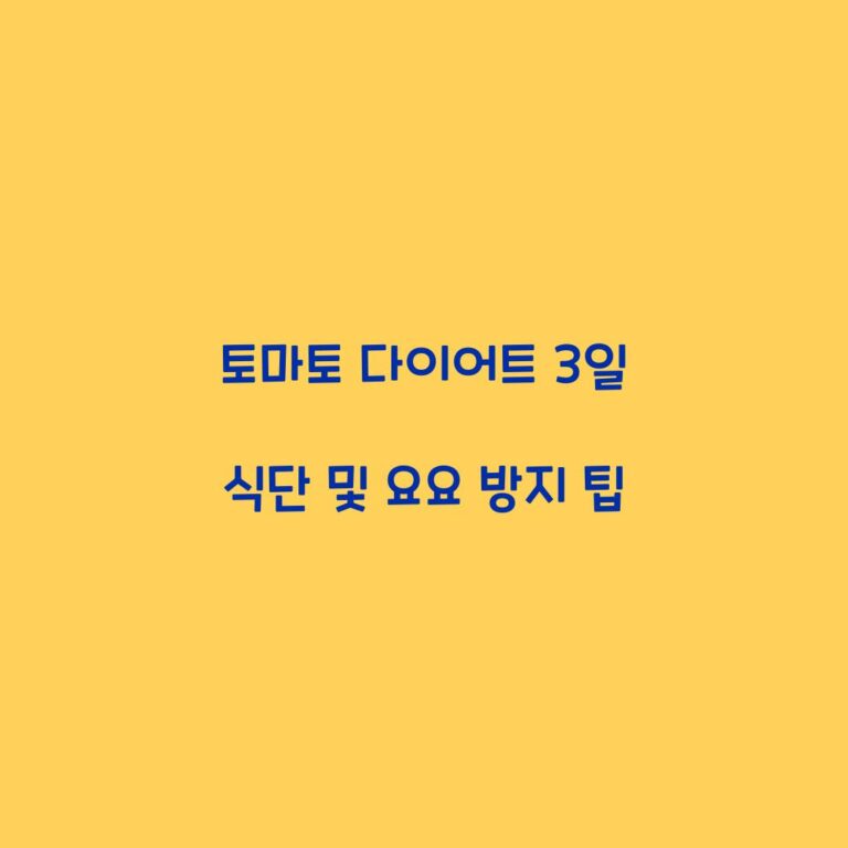 토마토 다이어트 3일 식단 및 요요 방지 팁