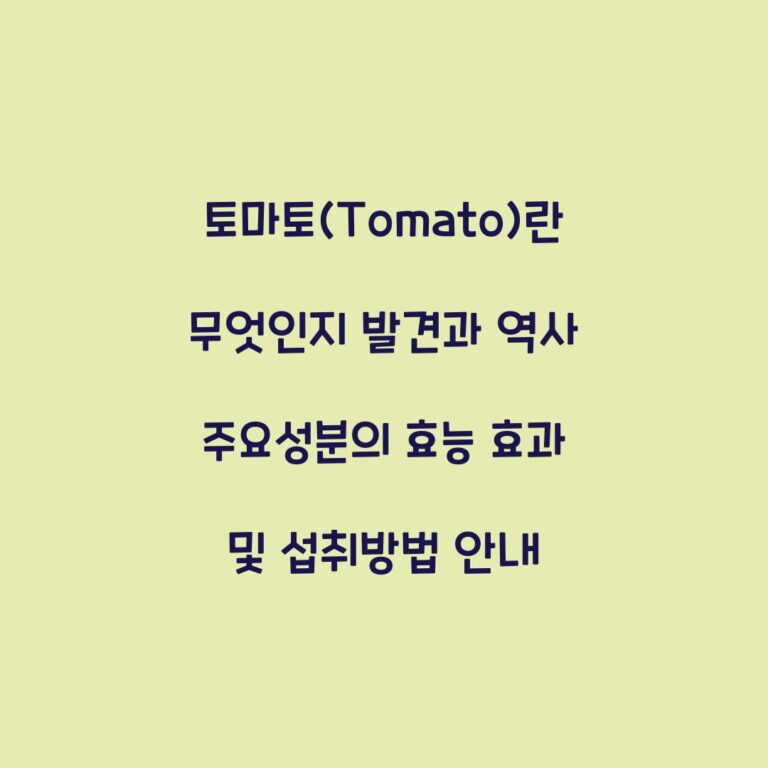 토마토(Tomato)란 무엇인지 발견과 역사 주요성분의 효능 효과 및 섭취방법 안내
