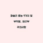 파슬리 효능 9가지 및 부작용, 임산부 주의사항