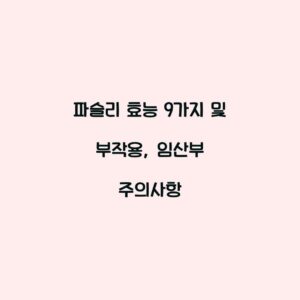 파슬리 효능 9가지 및 부작용, 임산부 주의사항