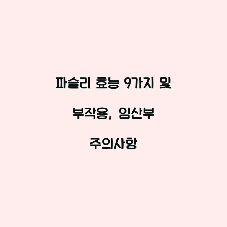 파슬리 효능 9가지 및 부작용, 임산부 주의사항