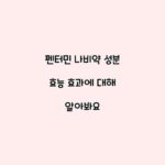 펜터민 나비약 성분 효능 효과에 대해 알아봐요