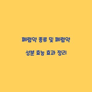 폐렴약 종류 및 폐렴약 성분 효능 효과 정리