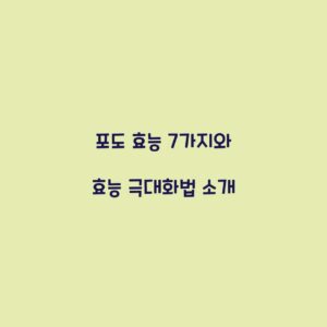 포도 효능 7가지와 효능 극대화법 소개