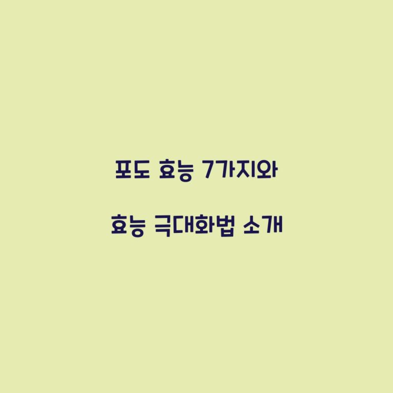 포도 효능 7가지와 효능 극대화법 소개