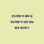포도막염 약 종류 및 포도막염 약 성분 효능 효과 정리하기