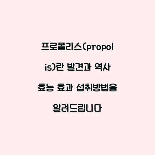 프로폴리스(propolis)란 발견과 역사 효능 효과 섭취방법을 알려드립니다