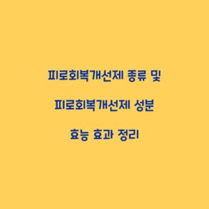 피로회복개선제 종류 및 피로회복개선제 성분 효능 효과 정리