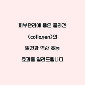 피부관리에 좋은 콜라겐(collagen)의 발견과 역사 효능 효과를 알려드립니다