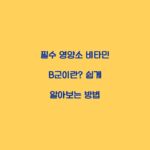 필수 영양소 비타민 B군이란? 쉽게 알아보는 방법
