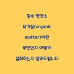 필수 영양소 유기질(organic matter)이란 무엇인지 어떻게 섭취하는지 알려드립니다