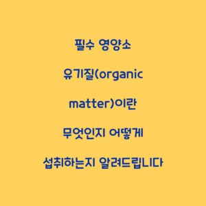 필수 영양소 유기질(organic matter)이란 무엇인지 어떻게 섭취하는지 알려드립니다