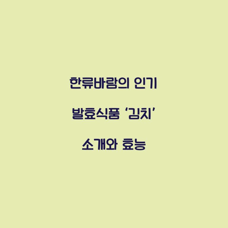 한류바람의 인기 발효식품 ‘김치’ 소개와 효능