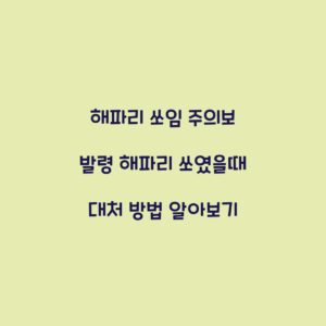 해파리 쏘임 주의보 발령 해파리 쏘였을때 대처 방법 알아보기