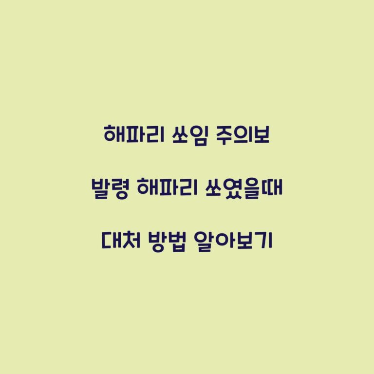 해파리 쏘임 주의보 발령 해파리 쏘였을때 대처 방법 알아보기