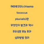 헤마토코쿠스(Haematococcus pluvialis)란 무엇인지 발견과 역사 주요성분 효능 효과 섭취방법 정리