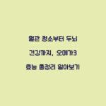 혈관 청소부터 두뇌 건강까지, 오메가3 효능 총정리 알아보기