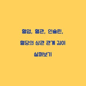 혈압, 혈관, 인슐린, 혈당의 상관 관계 깊이 살펴보기