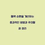 혈액 순환을 개선하는 효과적인 방법과 주의할 점 정리