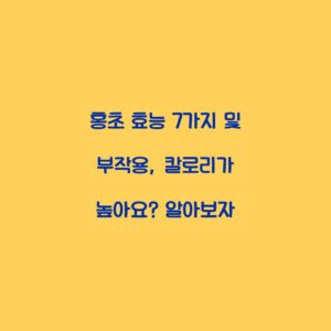 홍초 효능 7가지 및 부작용, 칼로리가 높아요? 알아보자