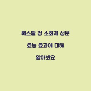 훼스탈 정 소화제 성분 효능 효과에 대해 알아봐요