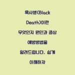 흑사병(Black Death)이란 무엇인지 원인과 증상 예방방법을 알려드립니다. 쉽게 이해하자