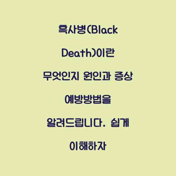 흑사병(Black Death)이란 무엇인지 원인과 증상 예방방법을 알려드립니다. 쉽게 이해하자