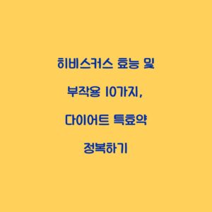 히비스커스 효능 및 부작용 10가지, 다이어트 특효약 정복하기