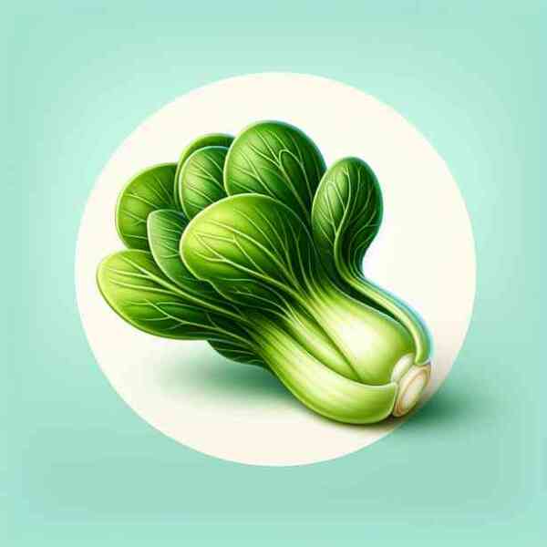 청경채의 놀라운 건강 효과 5가지 소개 청경채의 놀라운 건강 효과 5가지 소개